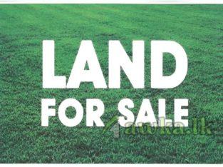 33 perches land for sale in Athurugiriya 500m away