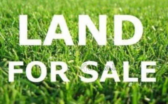 Land for Sale -Kandy