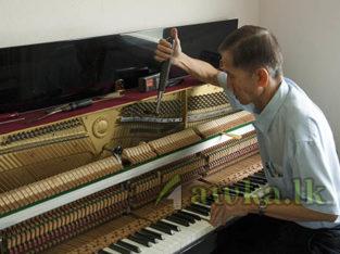 Rodrigo Piano Centre – Moratuwa