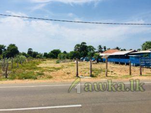 Land for sale in Wattala