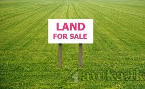 Land for sale – Kadawatha (Ragama Road)