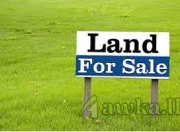 Land for sale at Nawala
