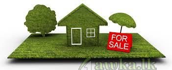 30 Perches land sale with an old house