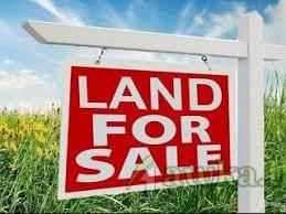 Piliyandala Town, 10P Land Available for Sale