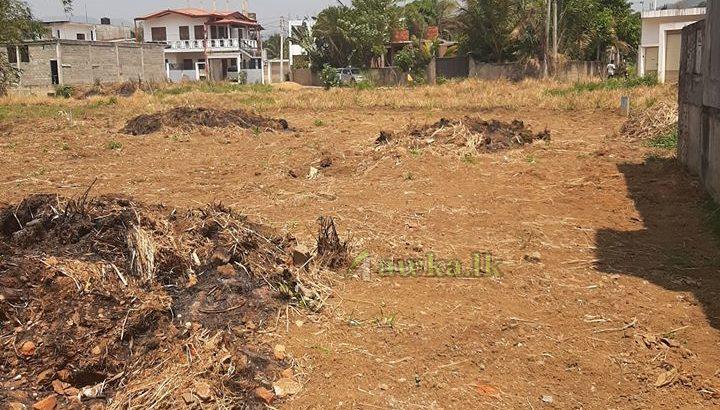 Valuable land for sale in gampola town